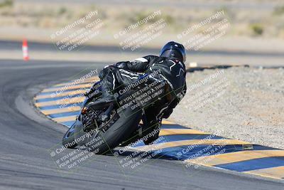 media/Feb-03-2024-SoCal Trackdays (Sat) [[767c60a41c]]/2-Turn 11 (10am)/